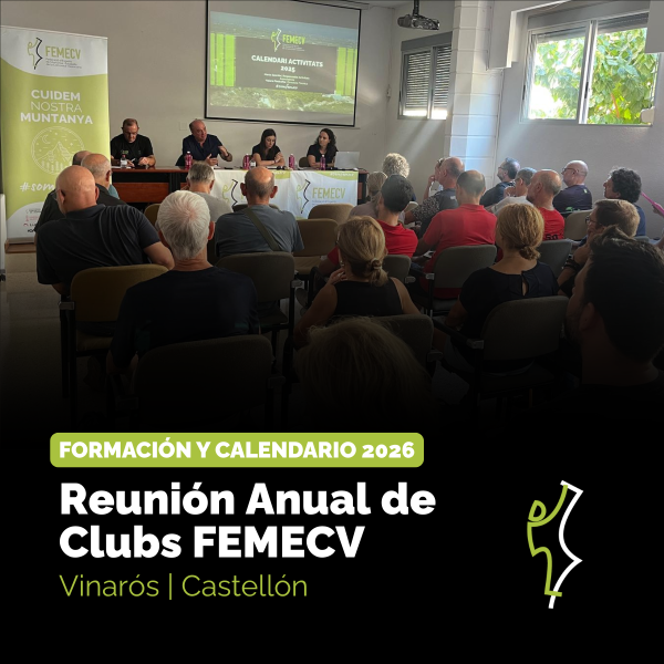 Portada Noticia