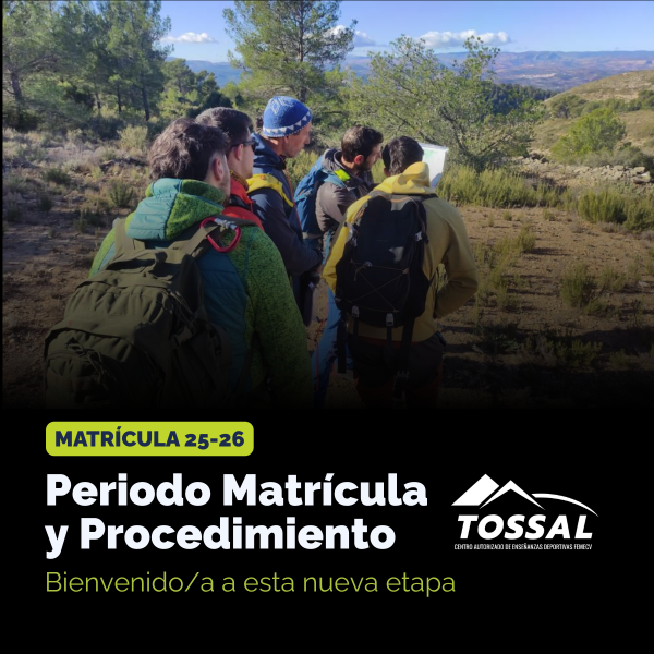 Portada Noticia