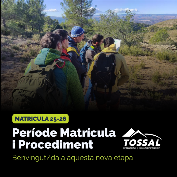 Portada Noticia