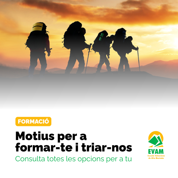 Portada Noticia