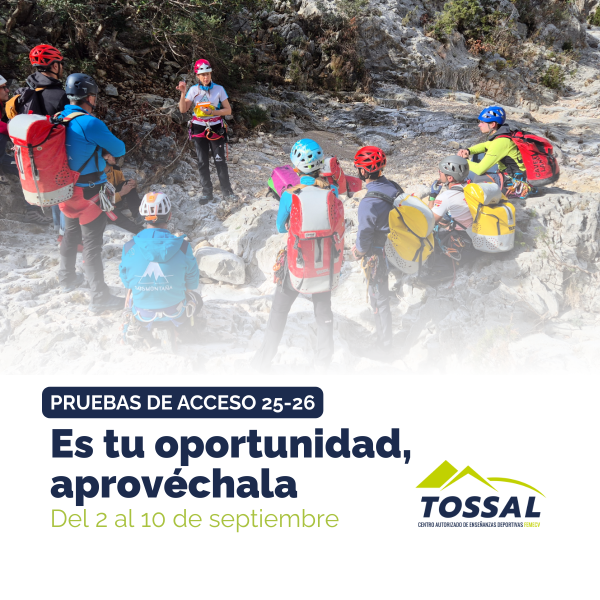 Portada Noticia