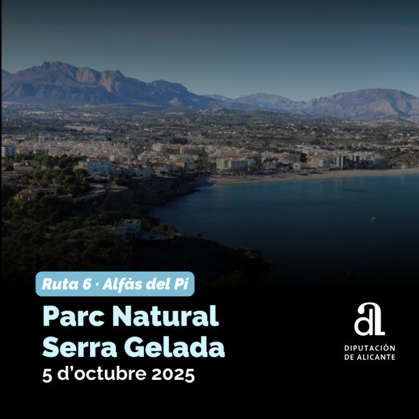 Portada Noticia