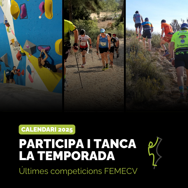 Portada Noticia