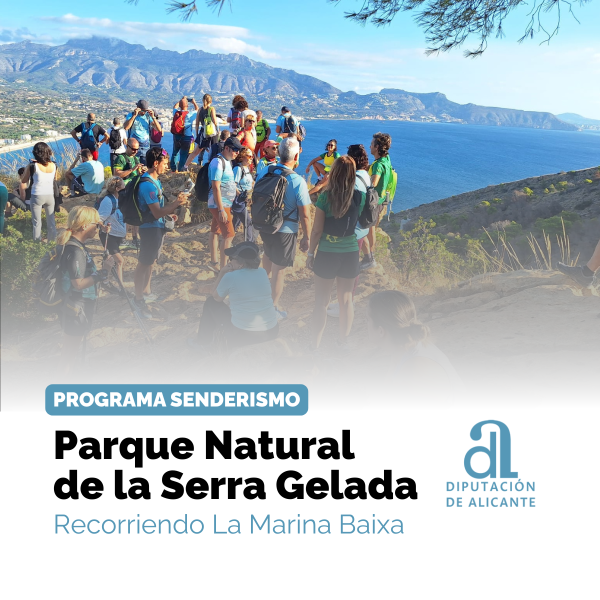 Portada Noticia
