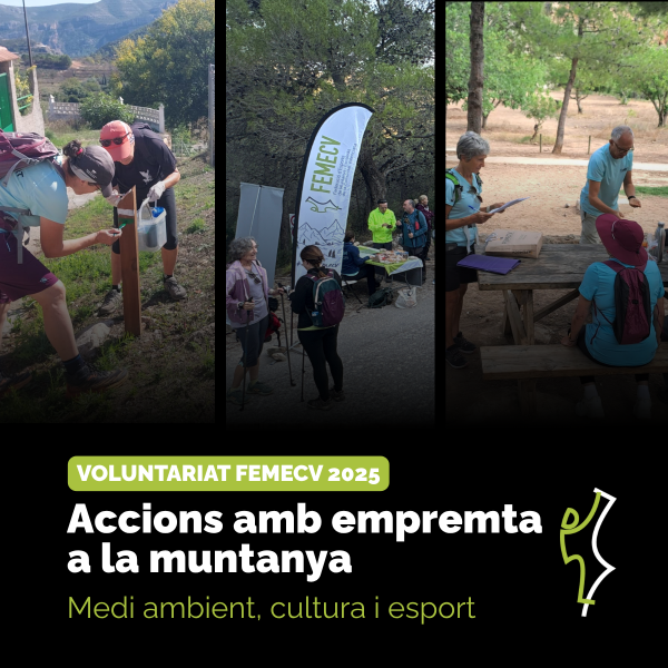 Portada Noticia