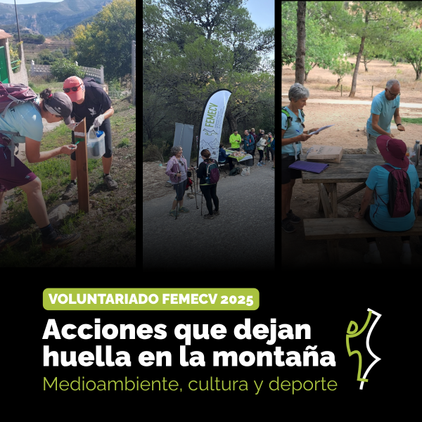 Portada Noticia