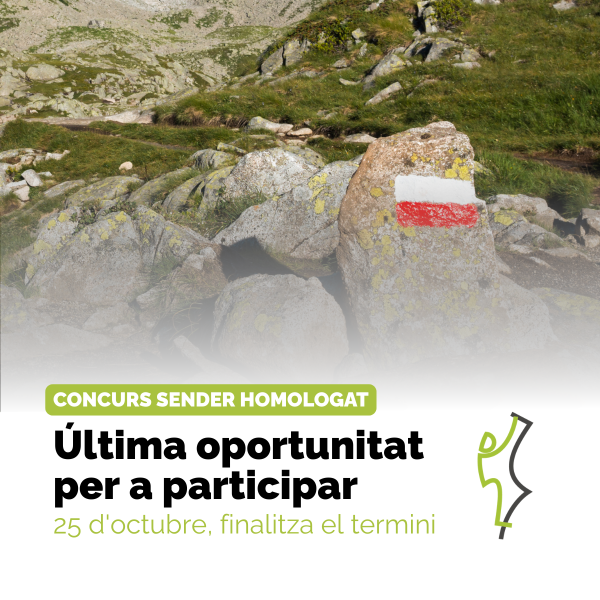 Portada Noticia