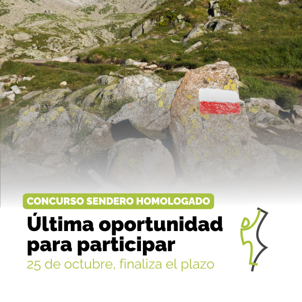 Portada Noticia