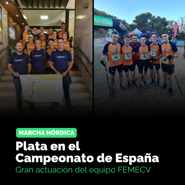 plata campeonato españa