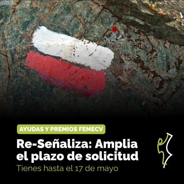 Ampliado el plazo de las Ayudas Re-señaliza | FEMECV - Federació d ...