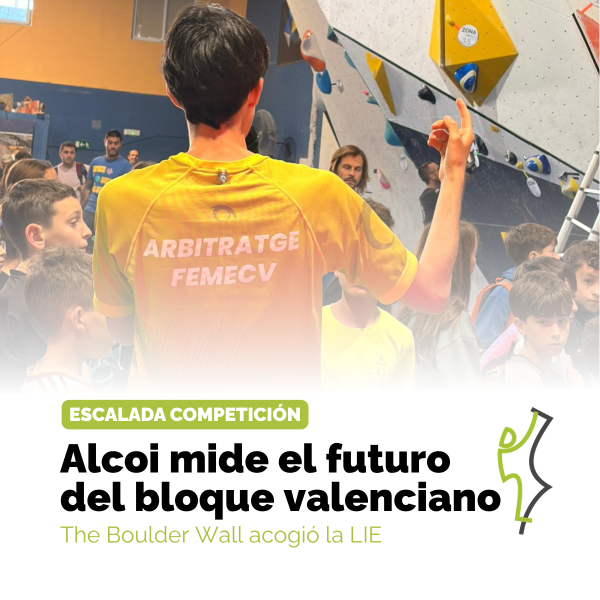 lie alcoi 2026