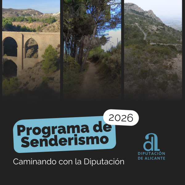 Portada Noticia