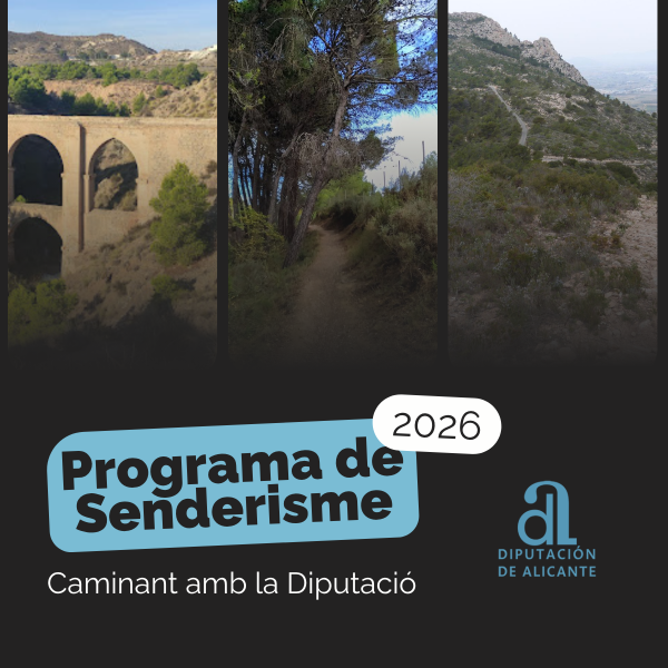 Portada Noticia