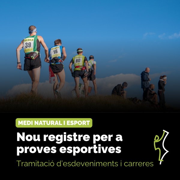 Portada Noticia