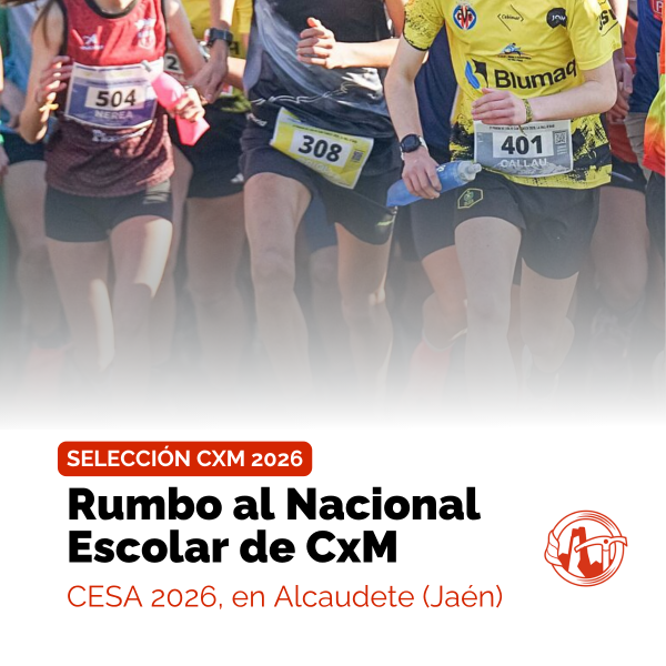Portada Noticia
