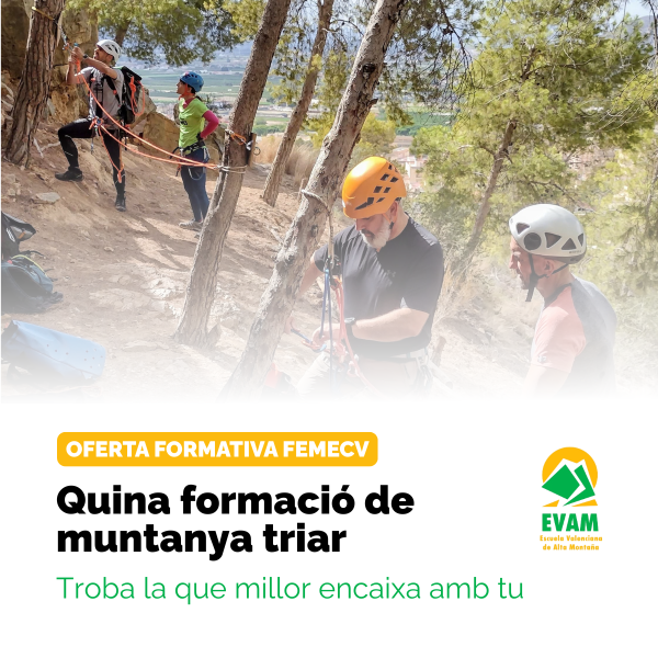 Portada Noticia