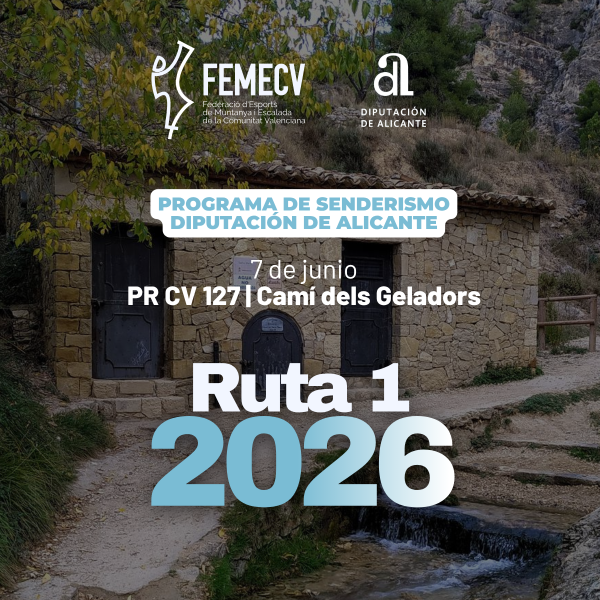 Portada Noticia