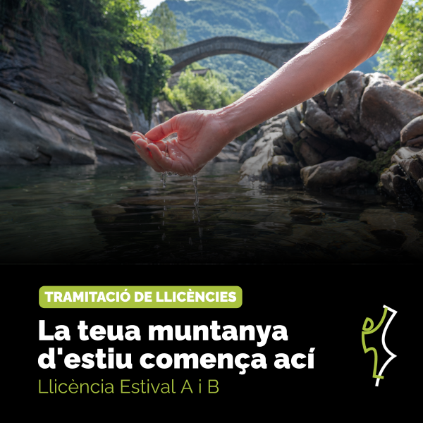 Portada Noticia