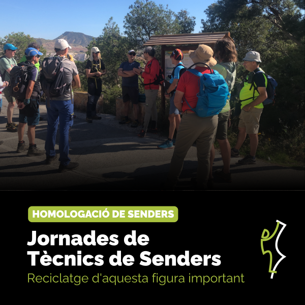 Portada Noticia