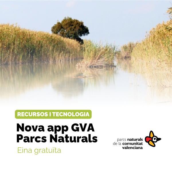 Portada Noticia