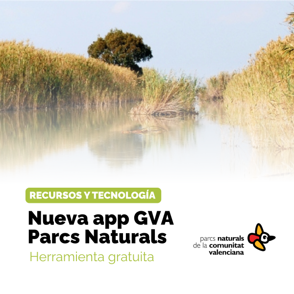 Portada Noticia