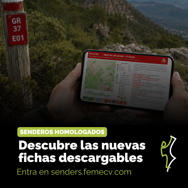 Portada Noticia