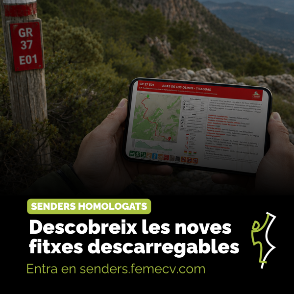 Portada Noticia