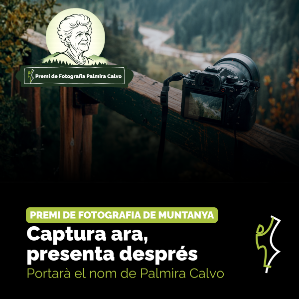 Portada Noticia
