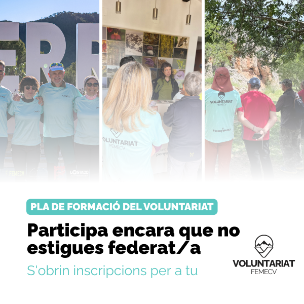 Portada Noticia