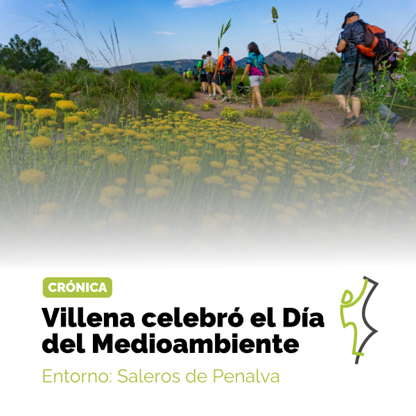 Portada Noticia