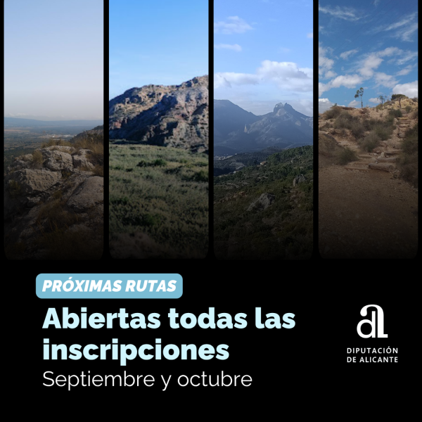 Portada Noticia