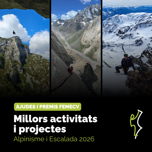 Portada Noticia