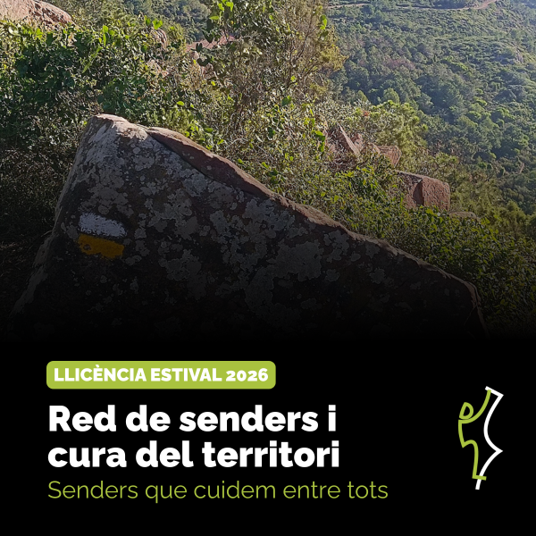 Portada Noticia
