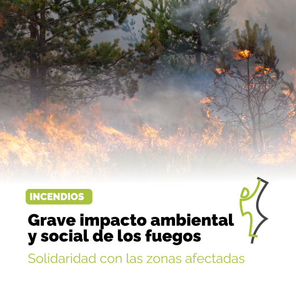 Portada Noticia