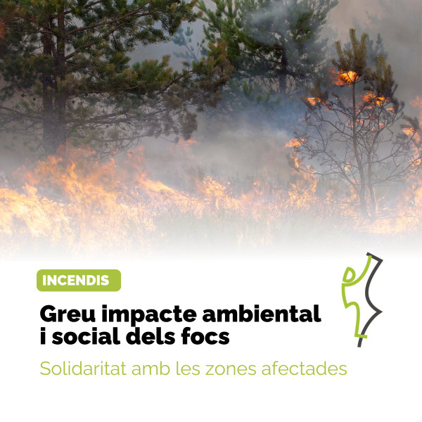Portada Noticia
