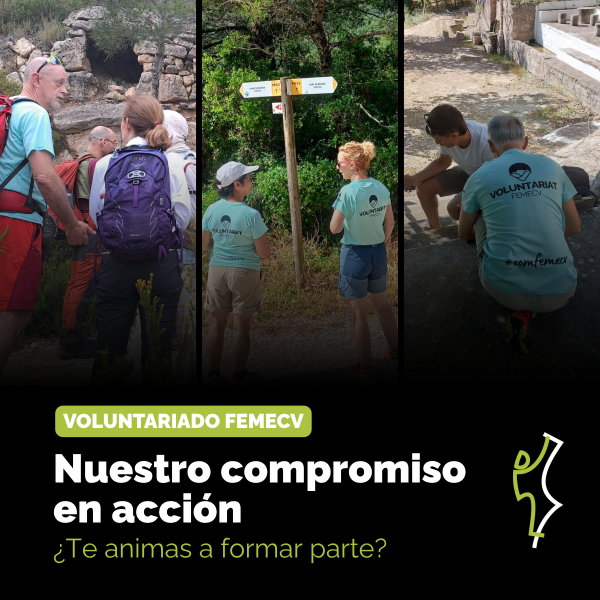 Portada Noticia