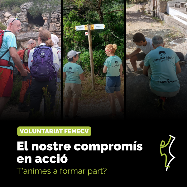 Portada Noticia