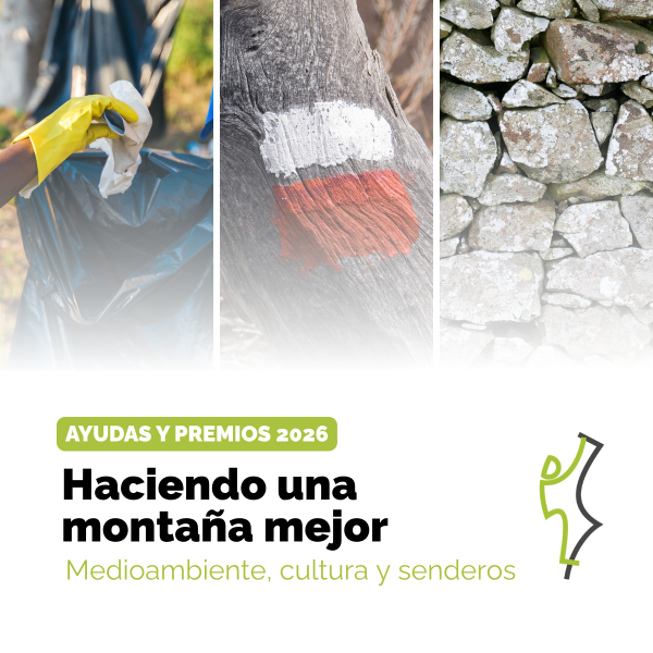 Portada Noticia