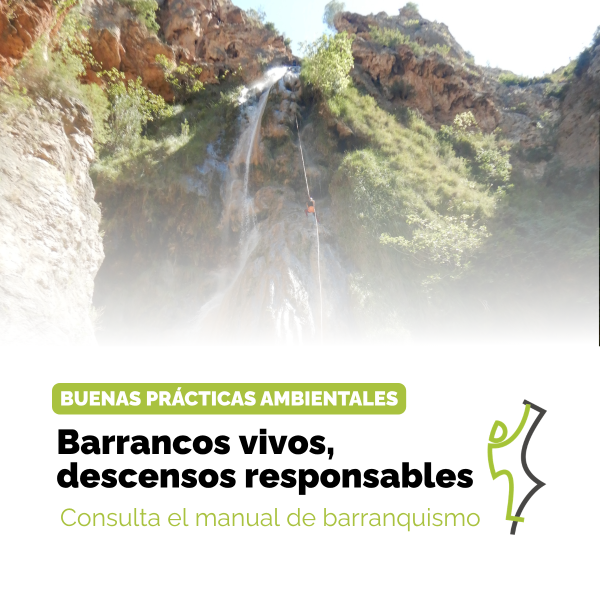 Portada Noticia