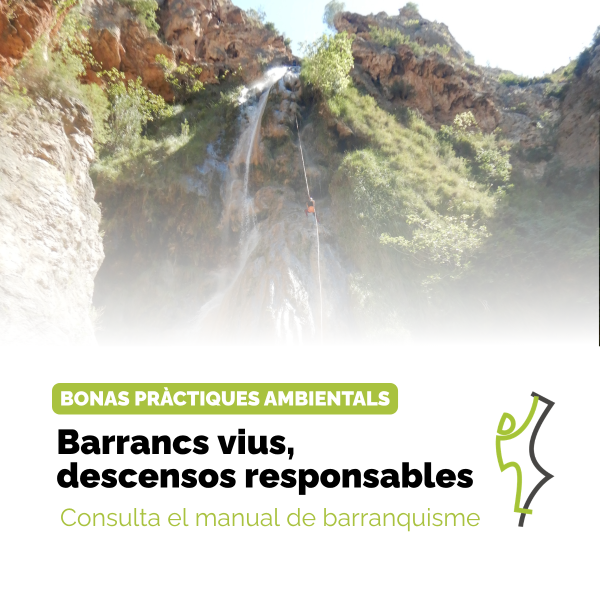 Portada Noticia