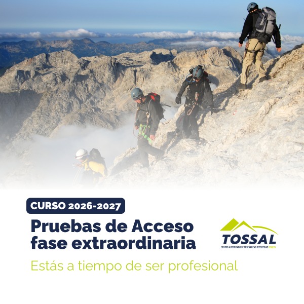 Portada Noticia