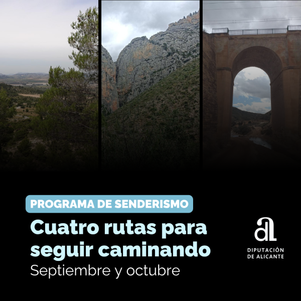 Portada Noticia