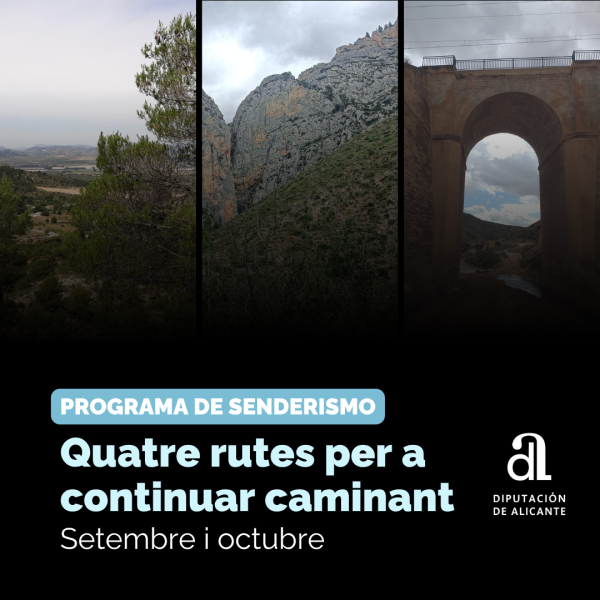 Portada Noticia