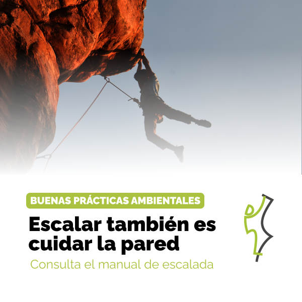 Portada Noticia