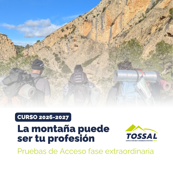 Portada Noticia