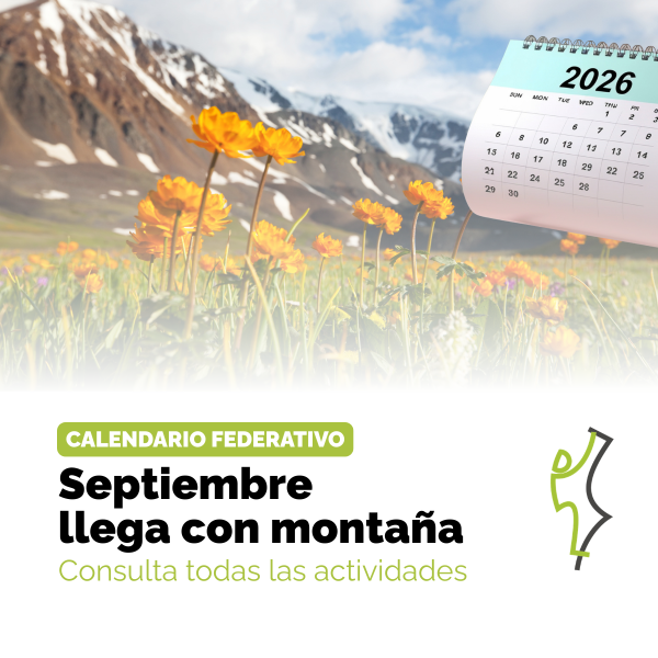 Portada Noticia