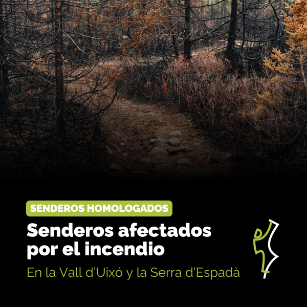Portada Noticia