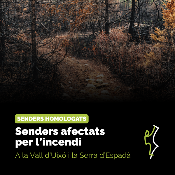 Portada Noticia