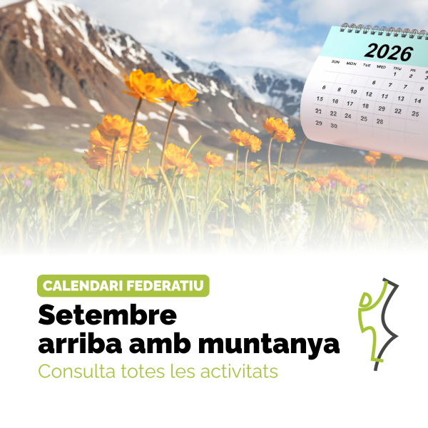 Portada Noticia