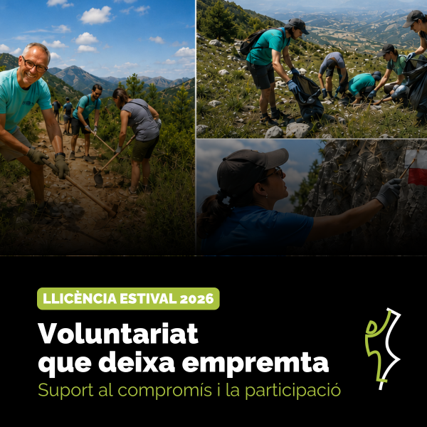 Portada Noticia